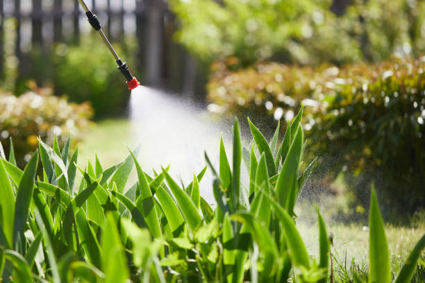 24/7 Emergency Mosquito Control experts in Hawaiian Ocean View, HI